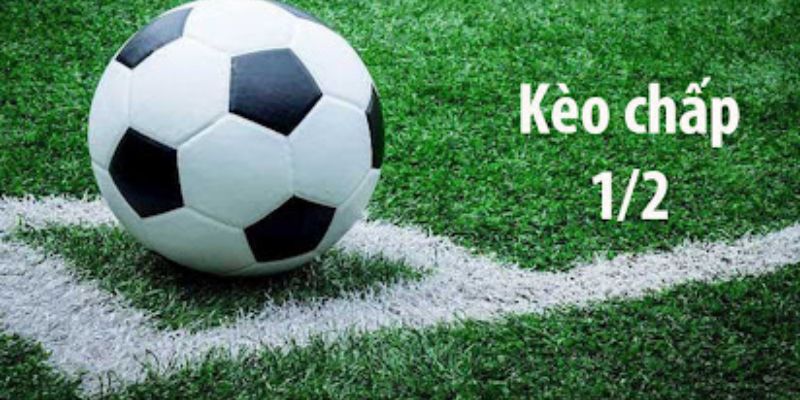 Sơ lược về tỷ lệ kèo 1/2 bóng đá tại 8XBET