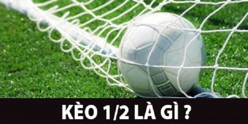 Cách đọc các trường hợp khi đặt cược kèo 1/2 tại 8XBET